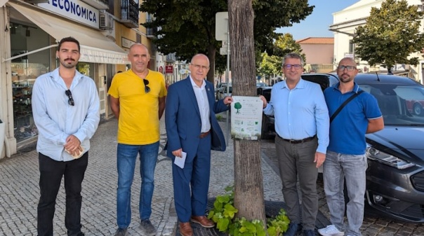 Árvores de Loulé recebem etiqueta que atesta a sua importância na cidade 