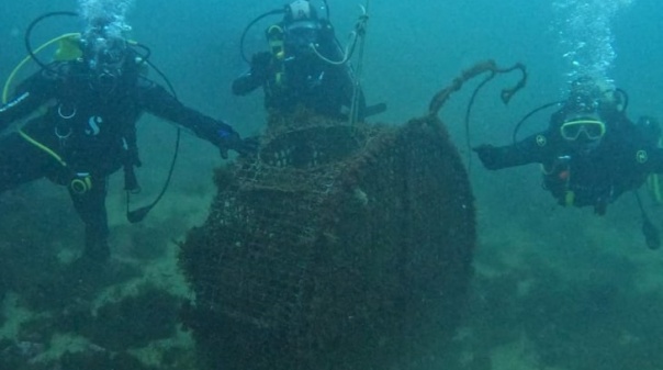 Meia tonelada de resíduos foi o balanço do programa "Vamos Limpar Terra e Mar" em Albufeira 