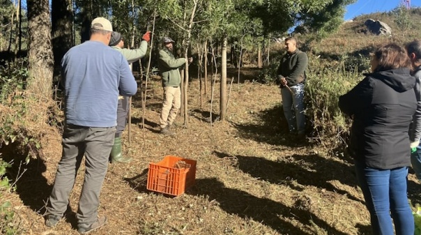 GEOTA e Câmara Municipal de Monchique promovem ações de combate às espécies invasoras