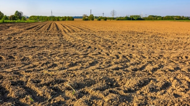 Seminário no Algarve defende equilíbrios para contrariar a degradação do solo