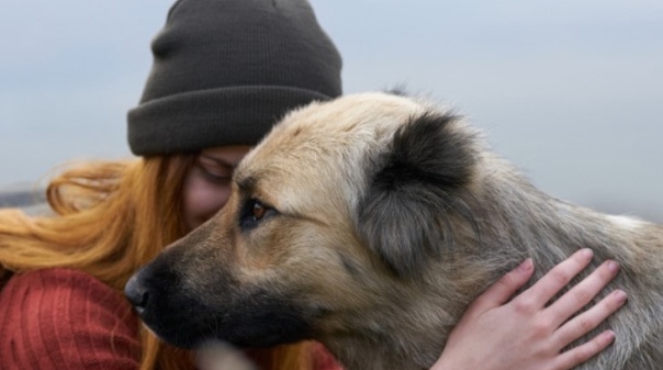 UAlg promove Cãominhada em Olhão