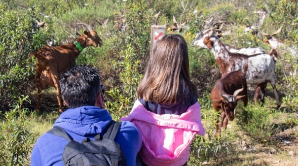 Previsão de mau tempo adia Festival de Caminhas de Alcoutim e Sanlúcar de Guadiana