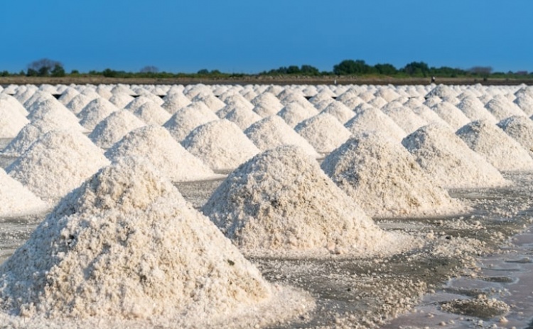 Estudo demonstra que sal em excesso pode contribuir para a disfunção cerebral