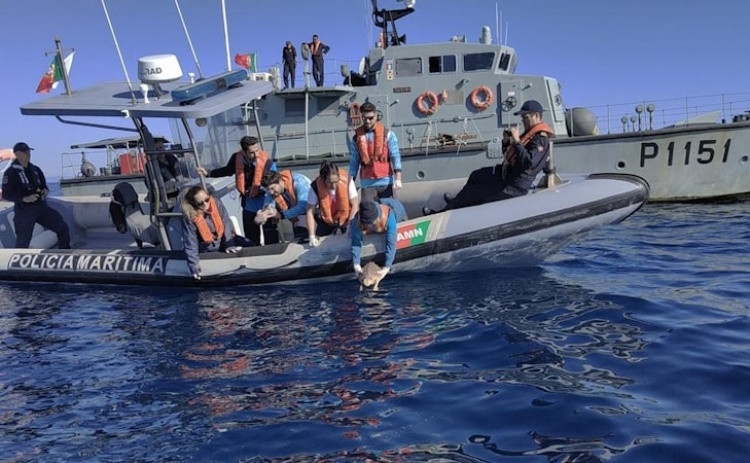 Porto d'Abrigo do Zoomarine vai devolver quatro tartarugas ao mar com apoio da Marinha