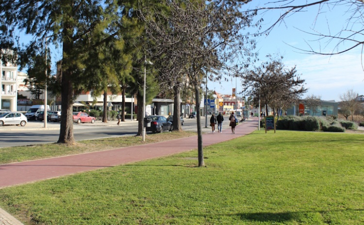 Silves e Cuba aderem à Maratona pelo Clima