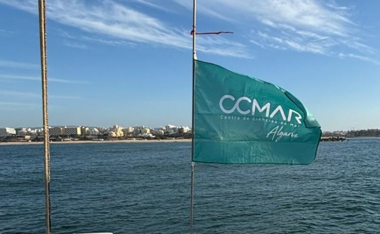 CCMAR lidera projeto de 8,5 ME para financiar investigação em aquacultura e pescas