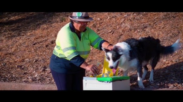 Castro Marim lança vídeo de cão que ensina a reciclar